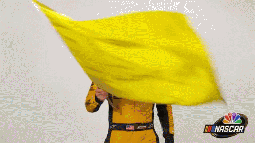 yellow-flag-6.gif.6981500b215dc92a46a28609b1431ab8.gif